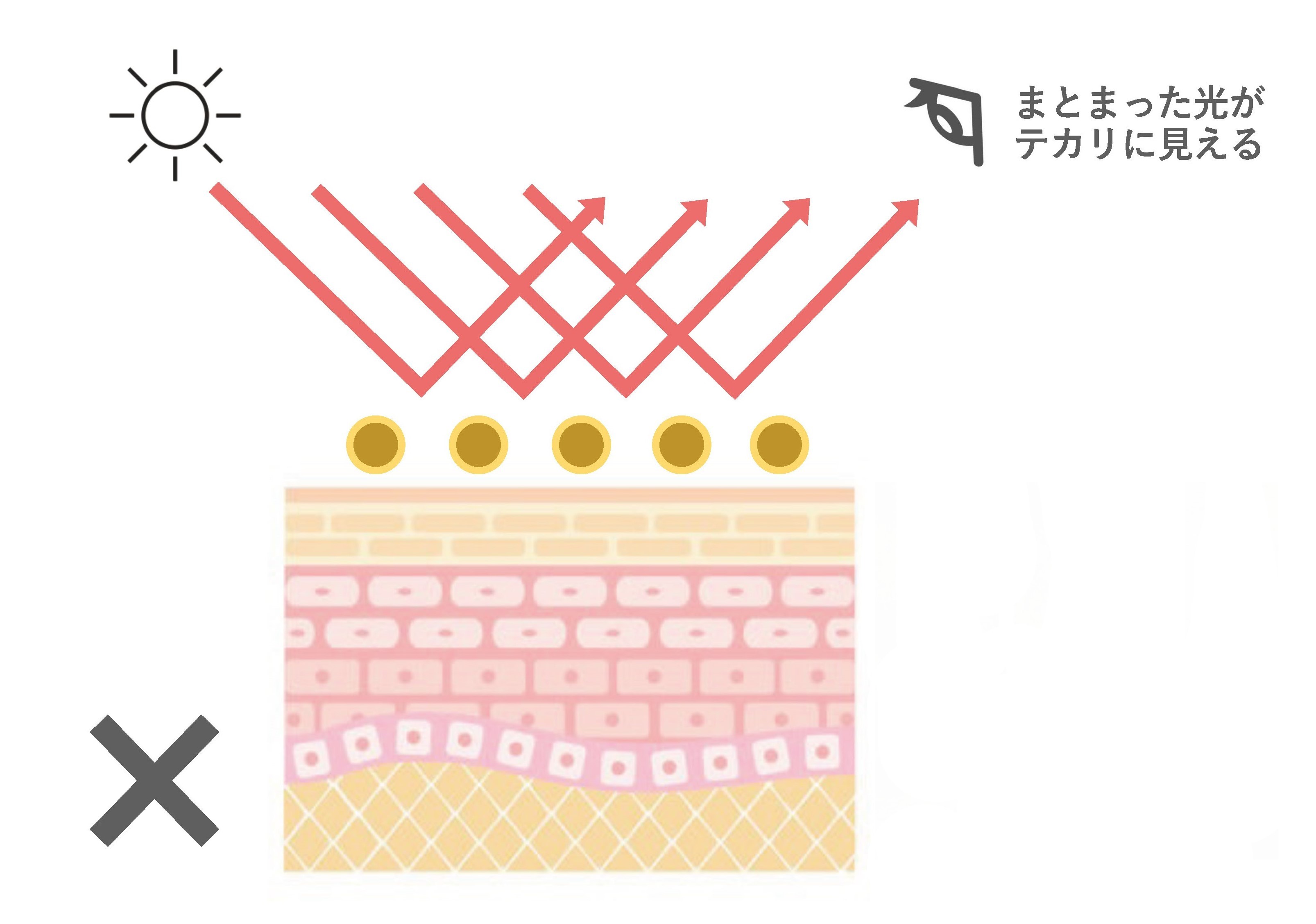 製品資料 1